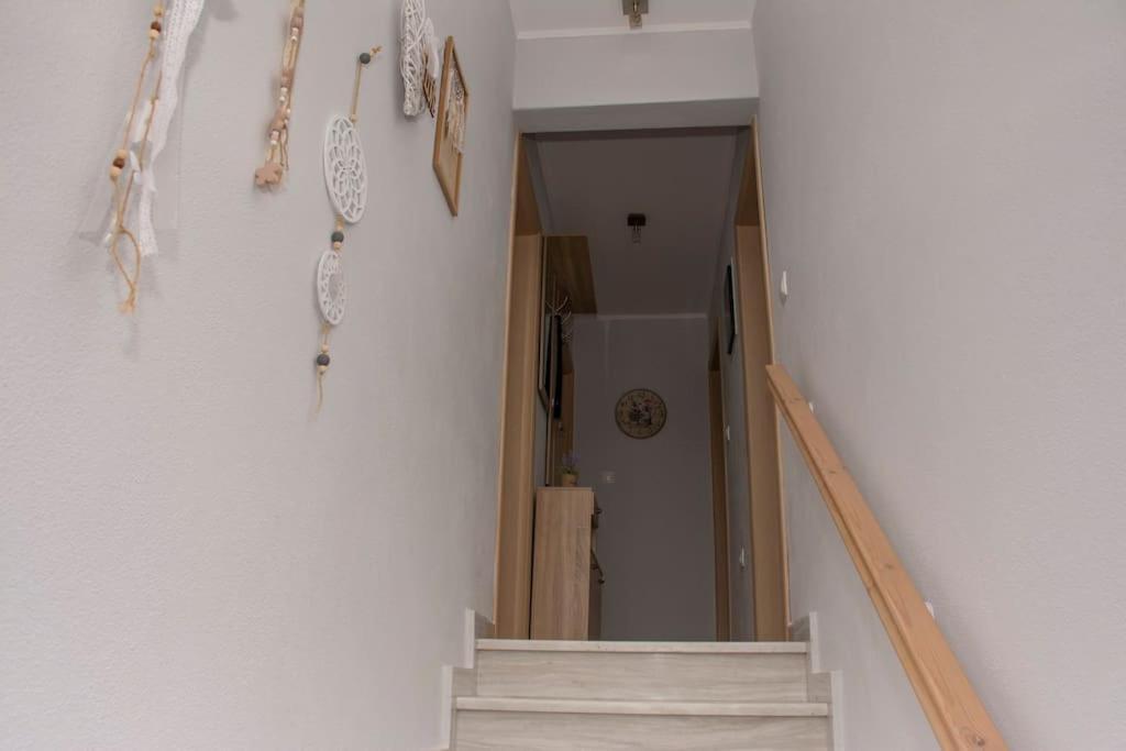 Anadora 2: Hospitable Stone House With Yard Apartment Alexandroúpolis Ngoại thất bức ảnh