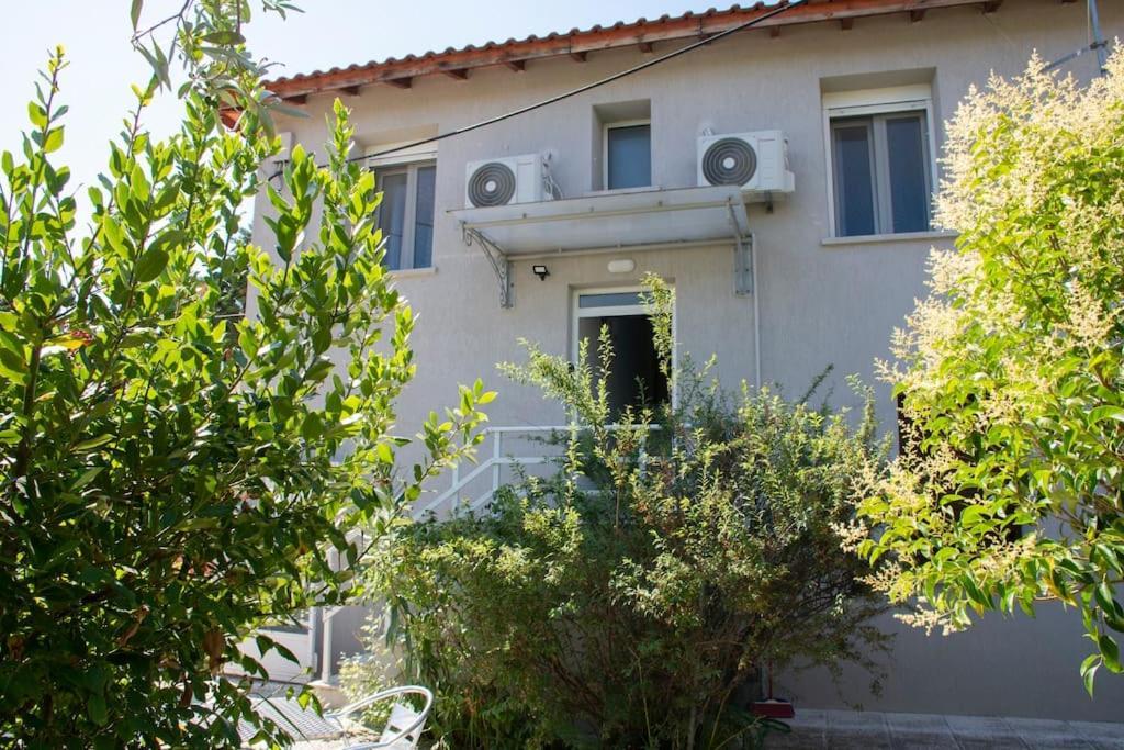 Anadora 2: Hospitable Stone House With Yard Apartment Alexandroúpolis Ngoại thất bức ảnh